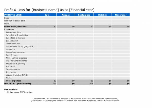 editable business plan profit and loss statement template 1