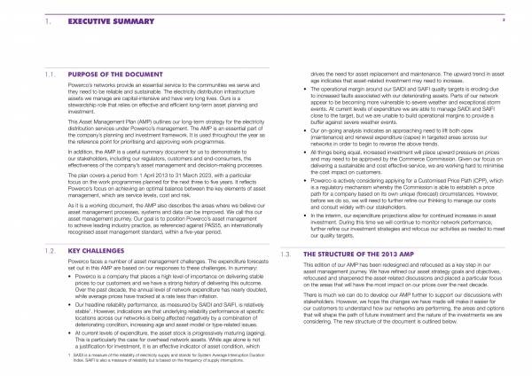 electricity asset management plan 005