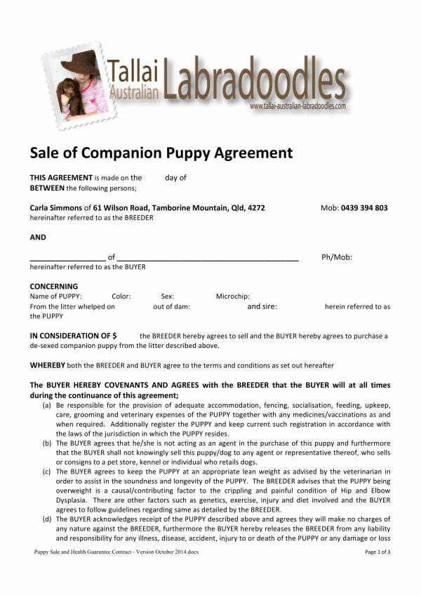 sale of companion puppy agreement contract 1