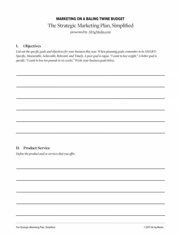 blank strategic sales and marketing plan template 1