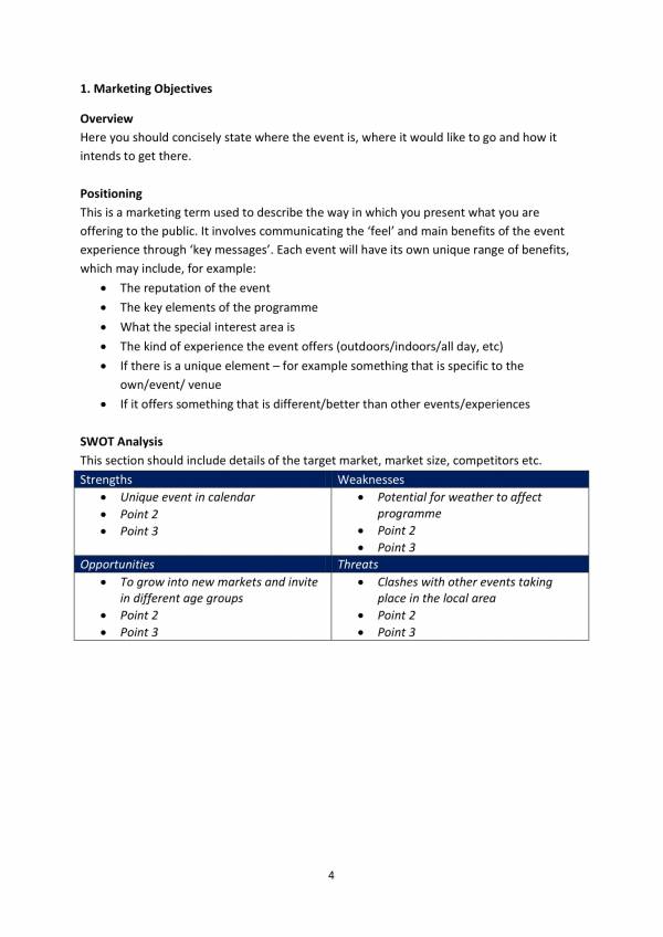 FREE 14+ Event Marketing Plan Templates in PDF MS Word