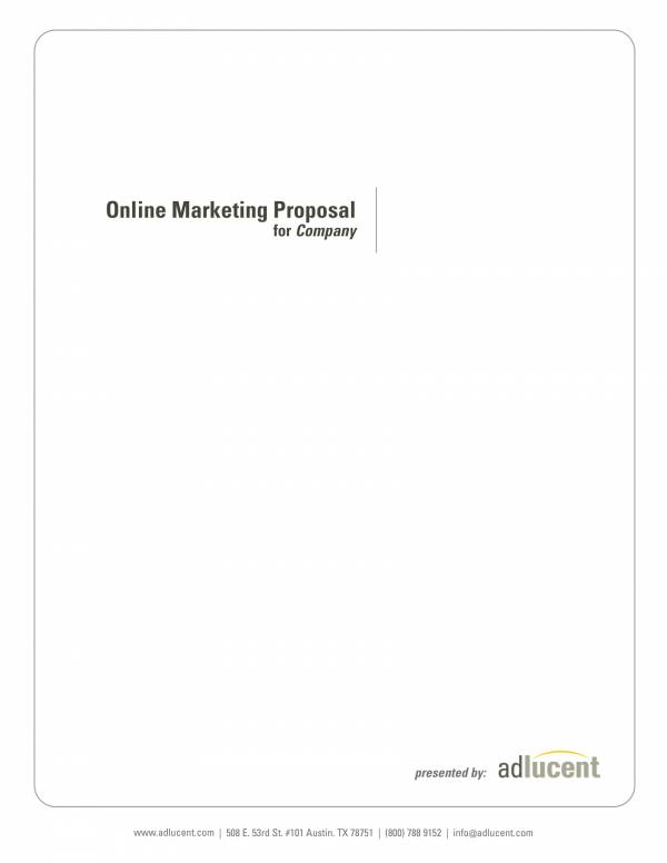 online marketing proposal template for company 01