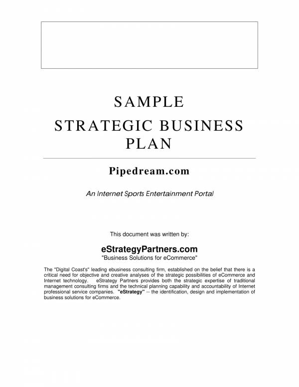sample strategic business plan template 01
