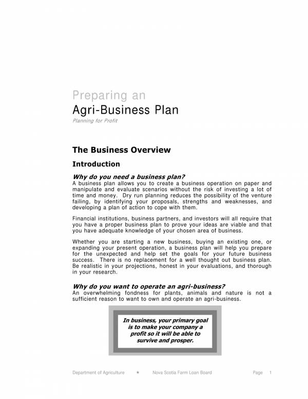 prepare a business plan for an agricultural firm