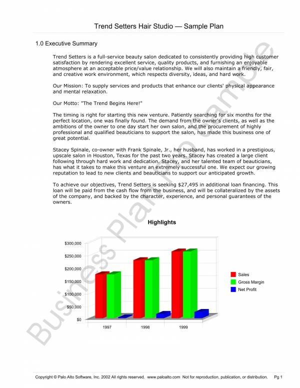 hair salon sample business plan template 04