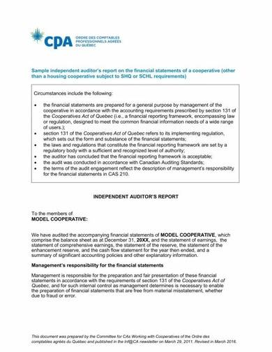 independent auditor’s report on financial statements