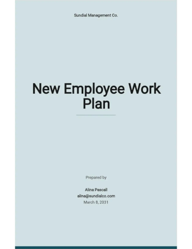 new employee work plan template