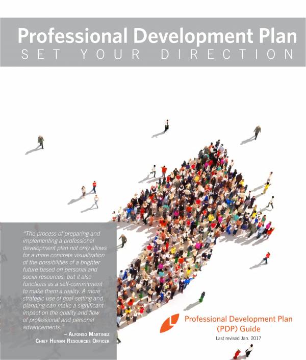 professional performance development plan sample 01