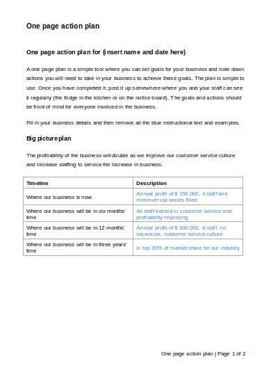 one page action plan template