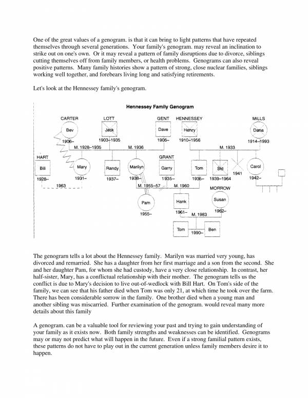 sample family historty genogram guide 4