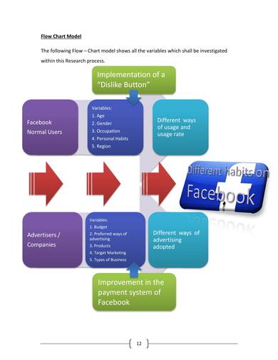 sample market research proposal for lychee 13