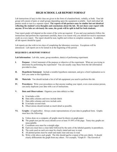 sample phyiscs lab report format 1