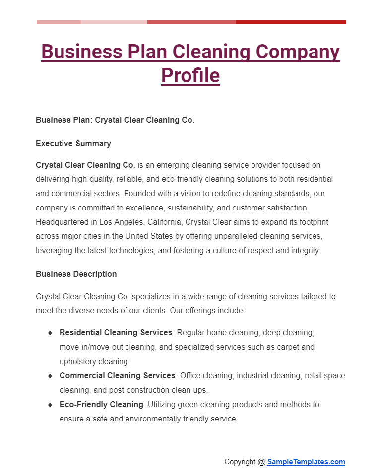 business plan cleaning company profile