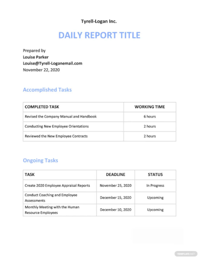 daily report template