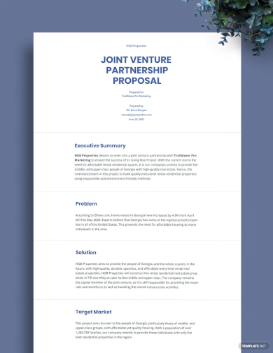 joint venture partnership proposal template