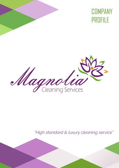 luxury cleaning service company profile