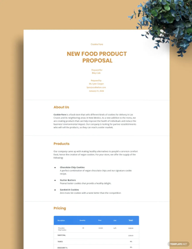 new food product proposal template