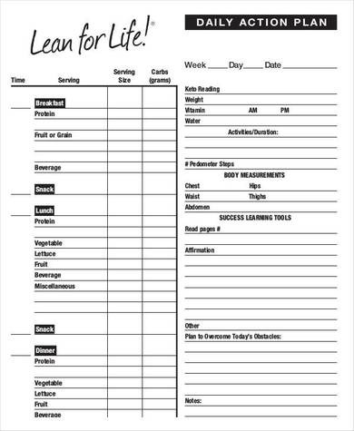 sample daily action plan template