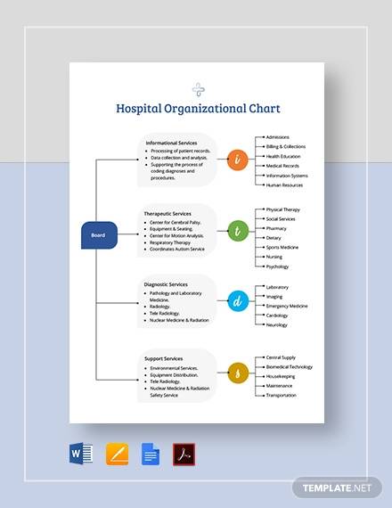 hospital organizational chart template