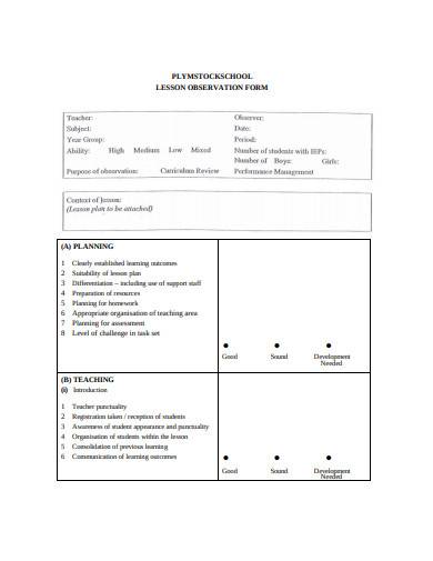 tutor lesson observation form template