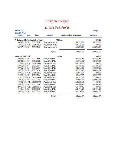 FREE 7 Customer Ledger Samples In PDF MS Word Excel