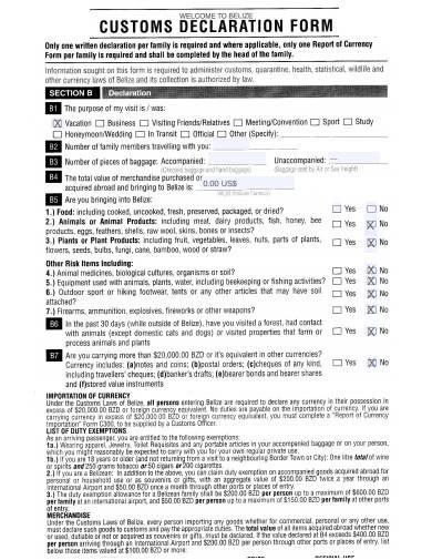 customs declaration form template