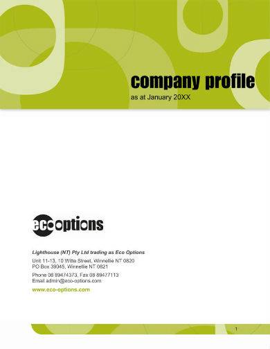 FREE 6 Company Profile Samples For Small Businesses In MS Word PDF