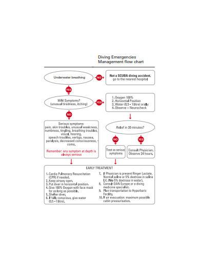 driving emergencies management flow chart