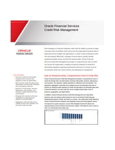 financial services credit risk management template