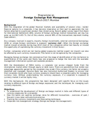 foreign exchange risk management in doc