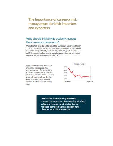 importance of currency risk management template