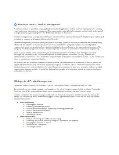 product management assignment examples