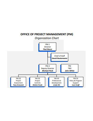management organisation chart sample