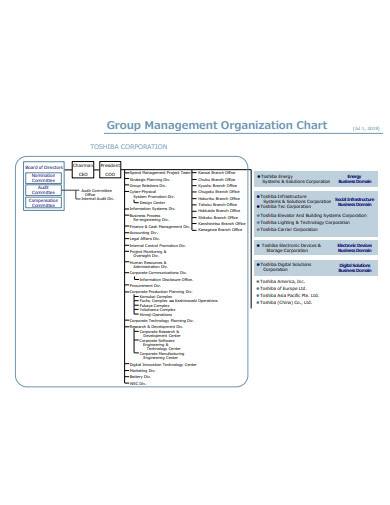 management organisation chart in pdf