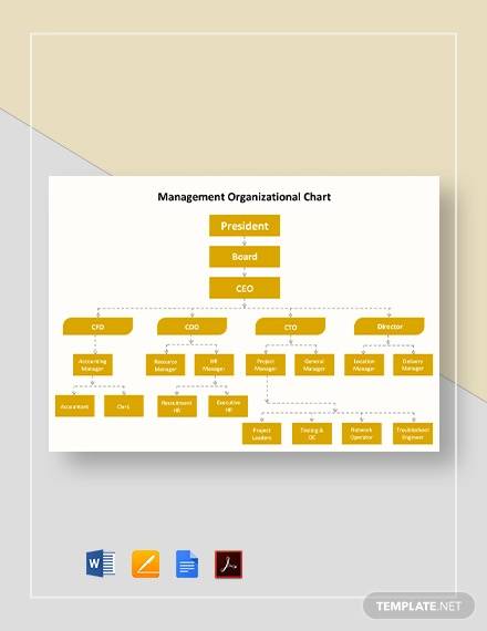 management organizational chart template