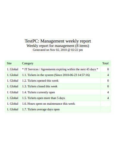 management weekly report template