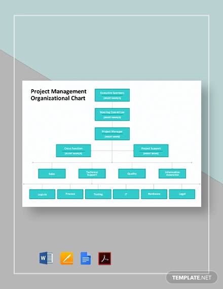 FREE 14+ Sample Project Organization Chart Templates in PDF | MS Word ...