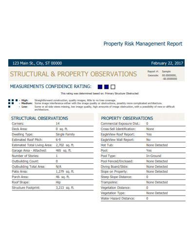 property risk management report