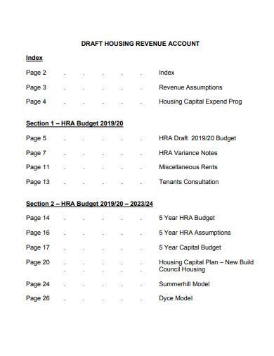 revenue account budget sample