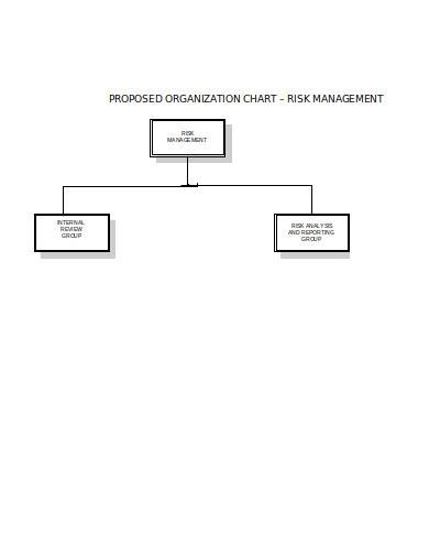 risk management chart template