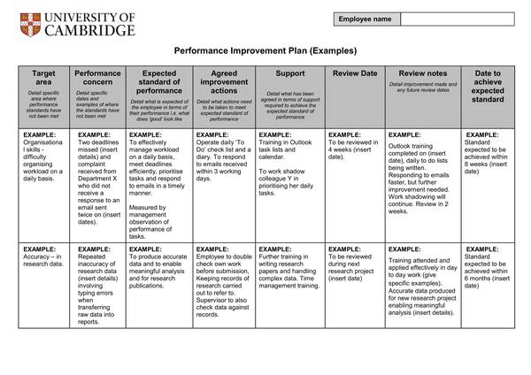 FREE 15 Sample Performance Plan Templates In PDF MS Word