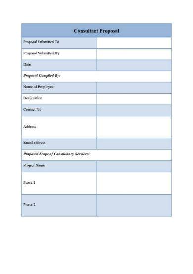 2 page consultant proposal template in doc