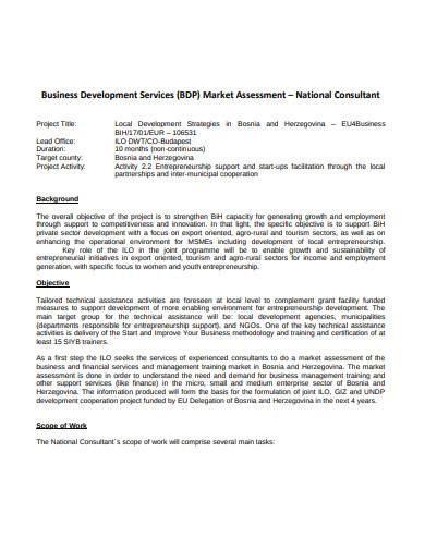 business development services market assessment