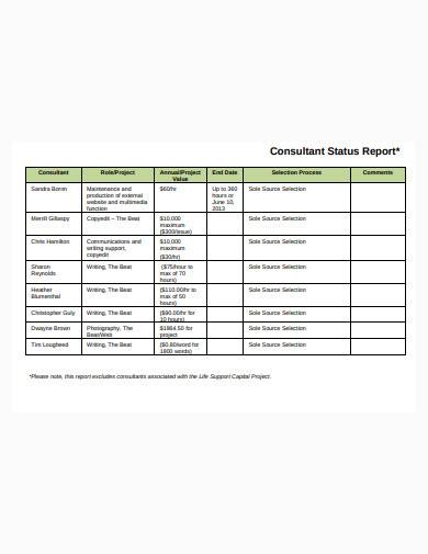 consultant status report in pdf