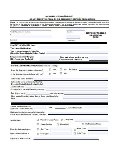 defendant information form in pdf