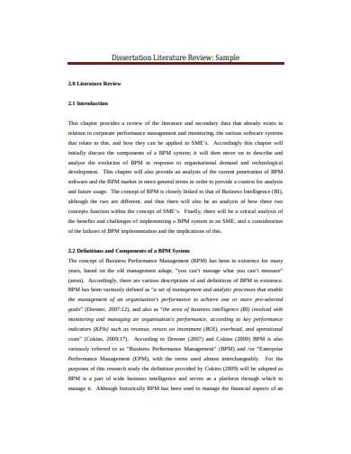 undergraduate dissertation literature review sample