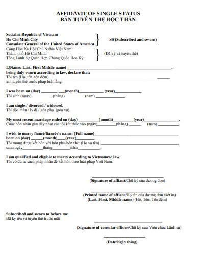 FREE 6 Affidavit Of Single Status Samples In PDF MS Word