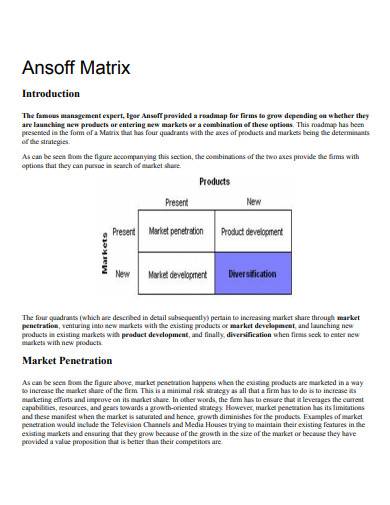 printable ansoff matrix