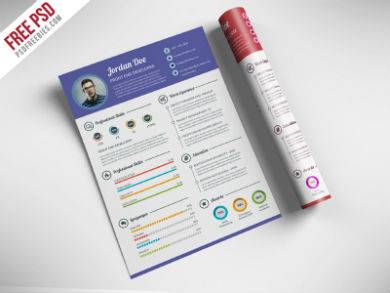 professional resume infographic template