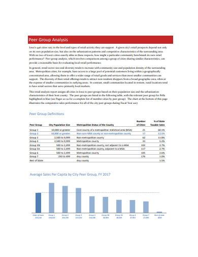 retail trade analysis report sample